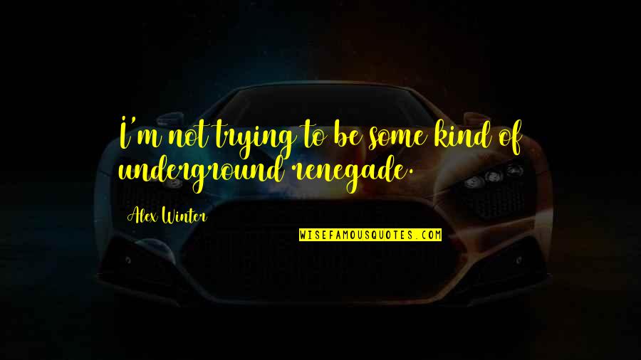 Nonaka Yuki Quotes By Alex Winter: I'm not trying to be some kind of