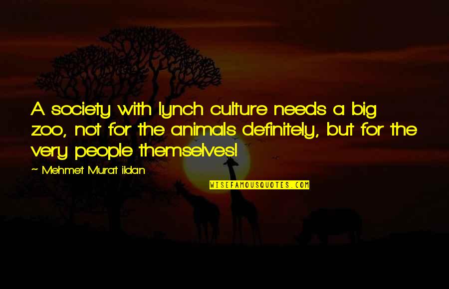 Nonattainment Quotes By Mehmet Murat Ildan: A society with lynch culture needs a big