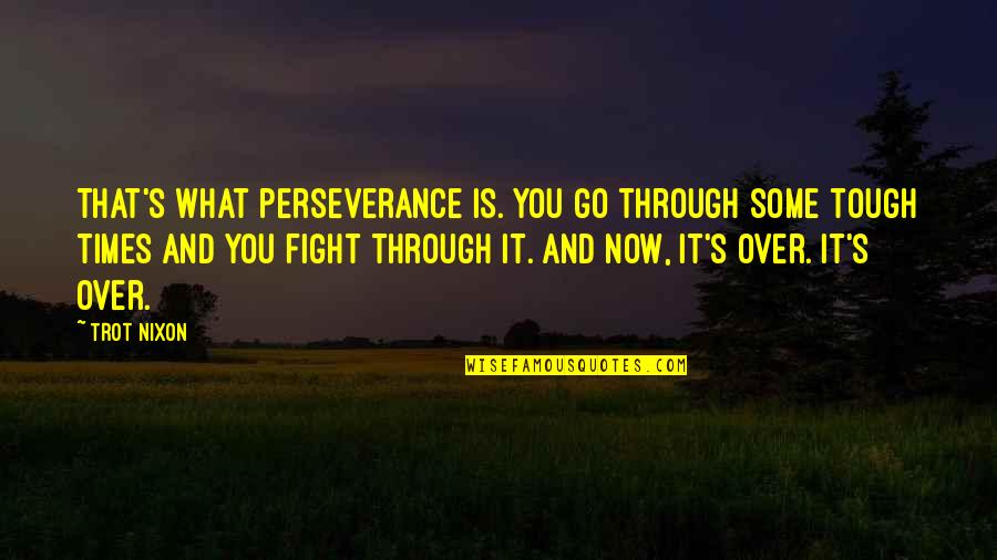 Nondelegation Quotes By Trot Nixon: That's what perseverance is. You go through some Nondelegation Quotes By Trot Nixon: That's what perseverance is. You go through some