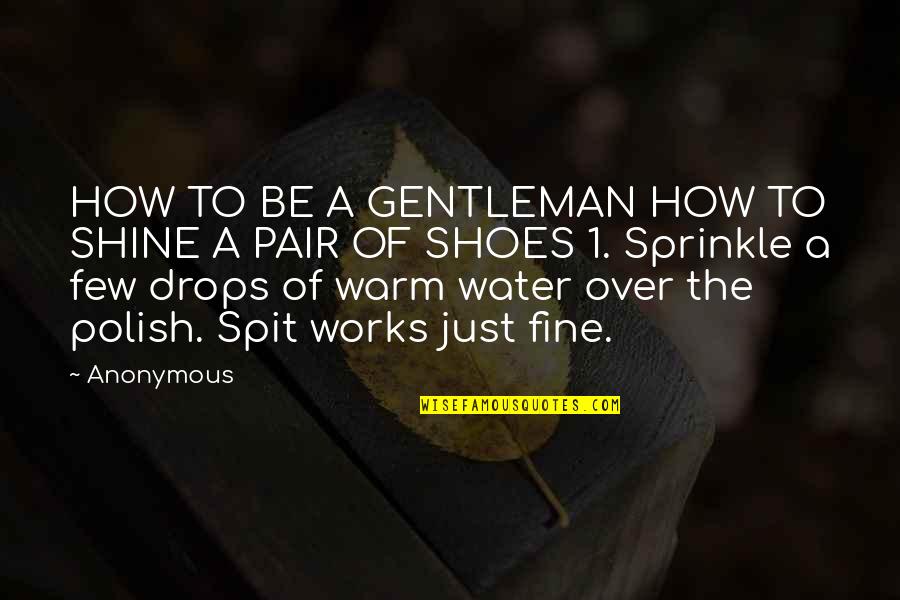 Nondiscriminatory Quotes By Anonymous: HOW TO BE A GENTLEMAN HOW TO SHINE