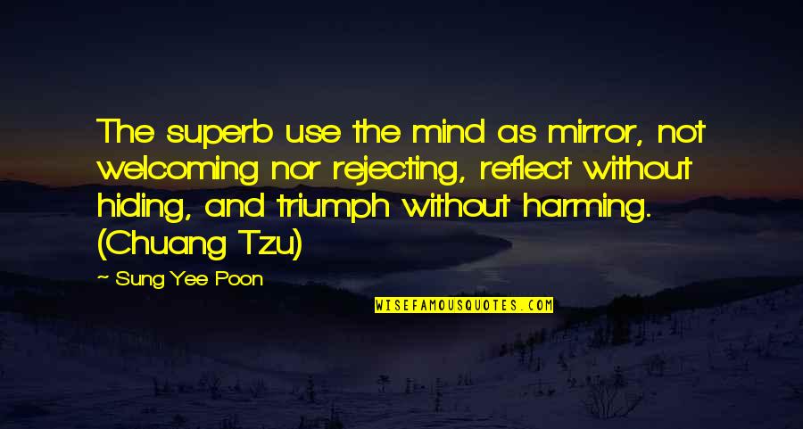 Nonelective Government Quotes By Sung Yee Poon: The superb use the mind as mirror, not Nonelective Government Quotes By Sung Yee Poon: The superb use the mind as mirror, not