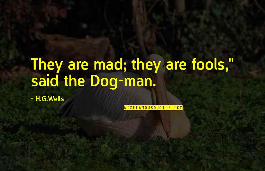 Nonentities Quotes By H.G.Wells: They are mad; they are fools," said the Nonentities Quotes By H.G.Wells: They are mad; they are fools," said the
