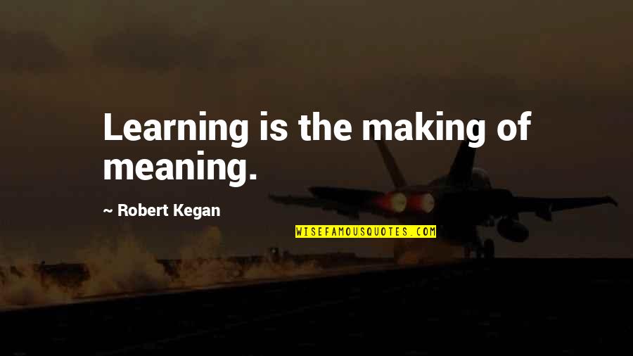 Nonfat Quotes By Robert Kegan: Learning is the making of meaning.
