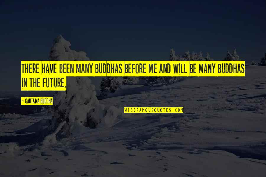 Nonhacking Quotes By Gautama Buddha: There have been many Buddhas before me and
