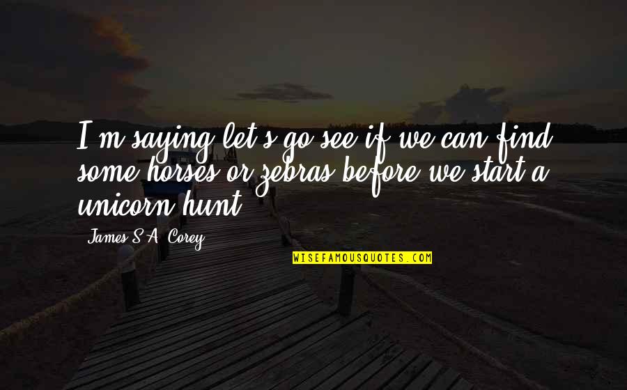 Nonhumorous Quotes By James S.A. Corey: I'm saying let's go see if we can