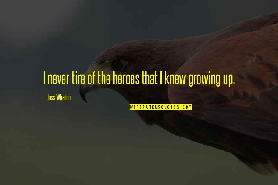 Nonideologue Quotes By Joss Whedon: I never tire of the heroes that I