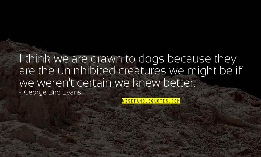 Nonihijab Quotes By George Bird Evans: I think we are drawn to dogs because