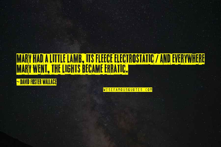 Nonmetallic Quotes By David Foster Wallace: Mary had a little lamb, its fleece electrostatic Nonmetallic Quotes By David Foster Wallace: Mary had a little lamb, its fleece electrostatic