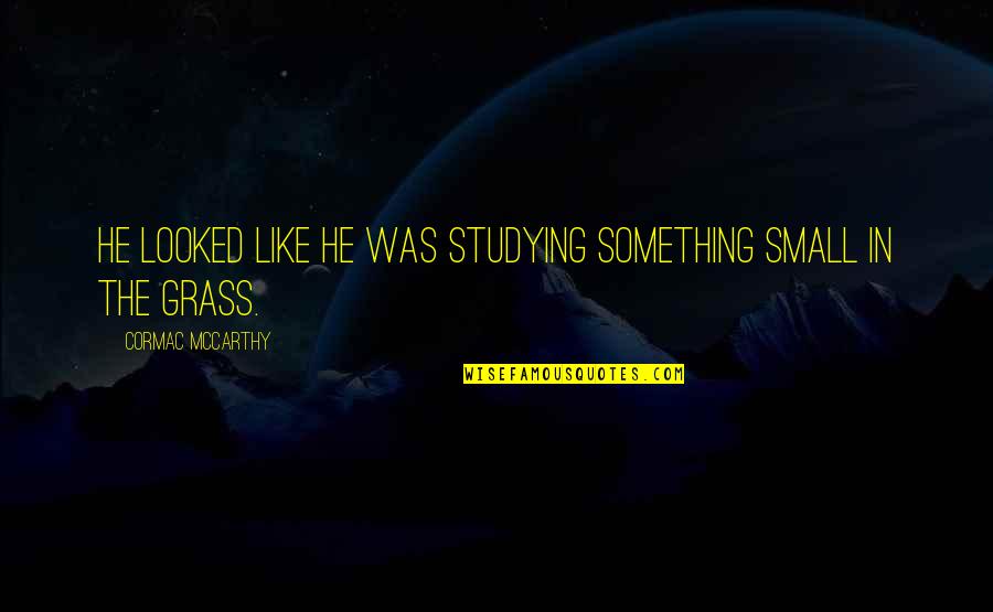 Nonnerds Quotes By Cormac McCarthy: He looked like he was studying something small