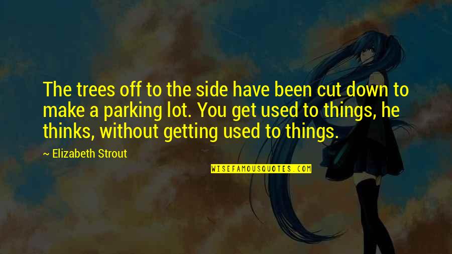 Nonporous Quotes By Elizabeth Strout: The trees off to the side have been