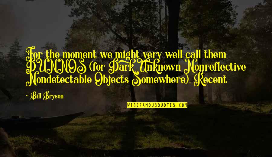 Nonreflective Quotes By Bill Bryson: For the moment we might very well call