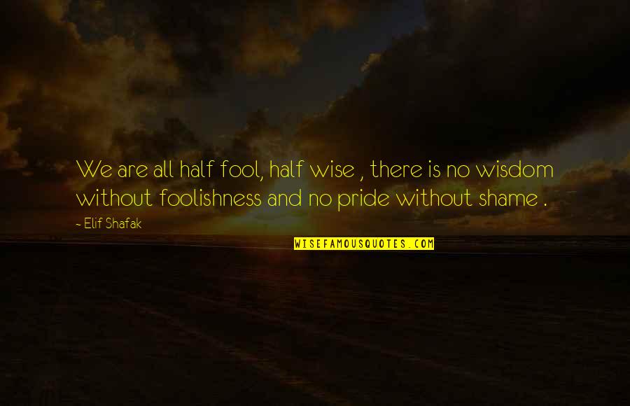 Nonsmokers Quotes By Elif Shafak: We are all half fool, half wise ,