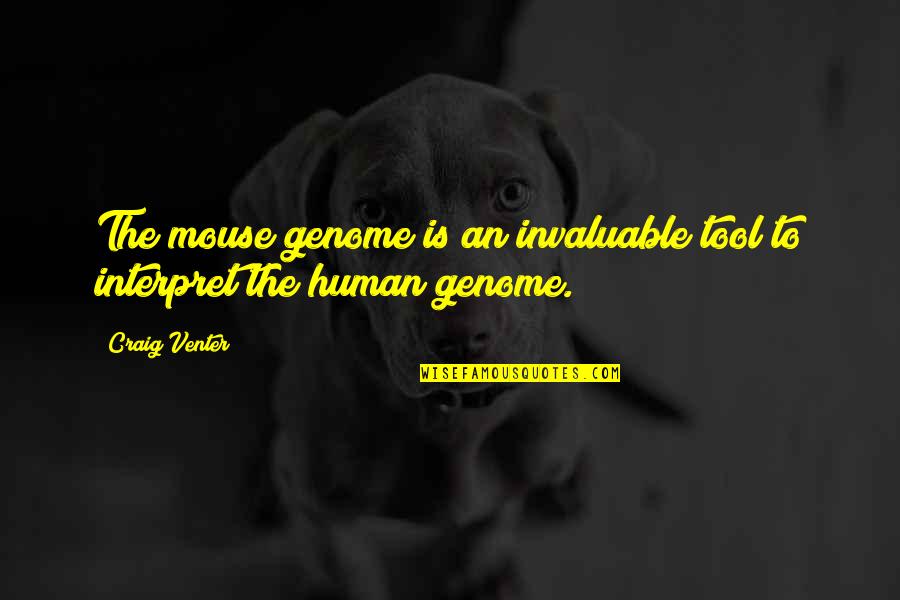 Nonstories Quotes By Craig Venter: The mouse genome is an invaluable tool to