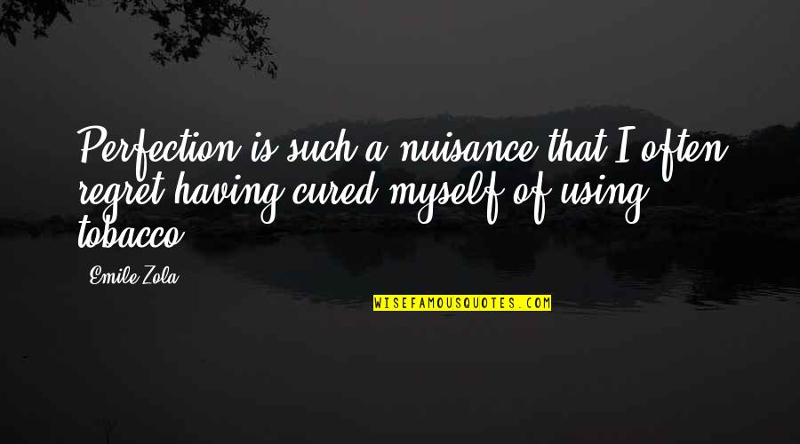 Nonstressful Quotes By Emile Zola: Perfection is such a nuisance that I often Nonstressful Quotes By Emile Zola: Perfection is such a nuisance that I often