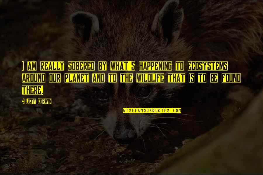 Nonsynthetic Quotes By Jeff Corwin: I am really sobered by what's happening to Nonsynthetic Quotes By Jeff Corwin: I am really sobered by what's happening to