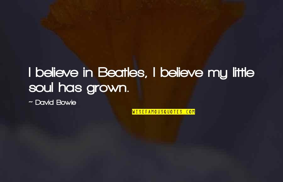 Nontaxable Quotes By David Bowie: I believe in Beatles, I believe my little