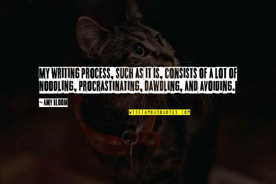 Noodling Quotes By Amy Bloom: My writing process, such as it is, consists