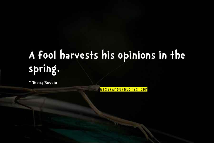 Nookie Thompson Quotes By Terry Rossio: A fool harvests his opinions in the spring.