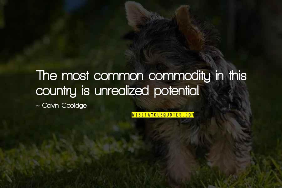 Nooses Quotes By Calvin Coolidge: The most common commodity in this country is Nooses Quotes By Calvin Coolidge: The most common commodity in this country is