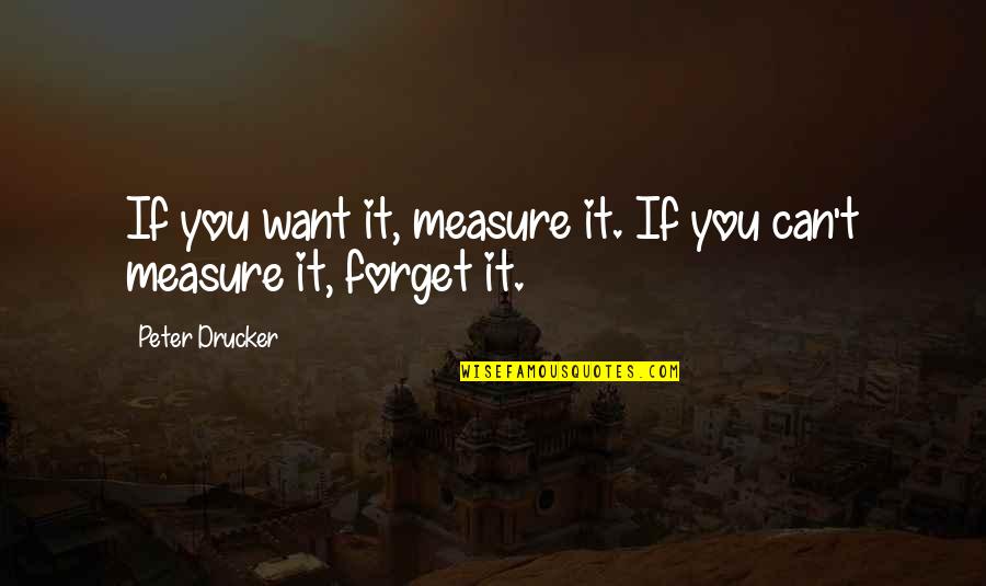 Nooshi Quotes By Peter Drucker: If you want it, measure it. If you Nooshi Quotes By Peter Drucker: If you want it, measure it. If you