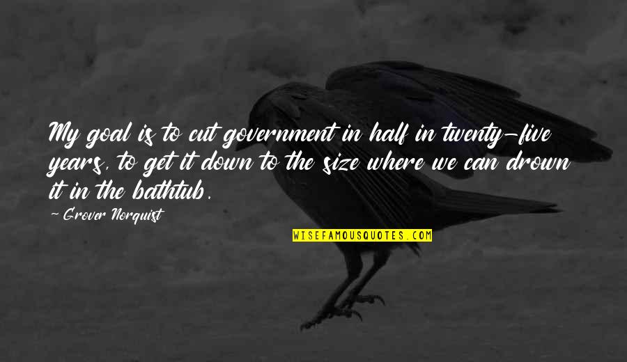 Noppadon Pattama Quotes By Grover Norquist: My goal is to cut government in half Noppadon Pattama Quotes By Grover Norquist: My goal is to cut government in half