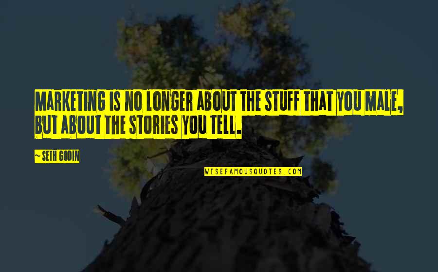 Nora Fanshaw Quotes By Seth Godin: Marketing is no longer about the stuff that