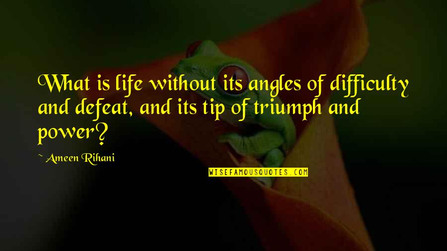 Norbooz Quotes By Ameen Rihani: What is life without its angles of difficulty