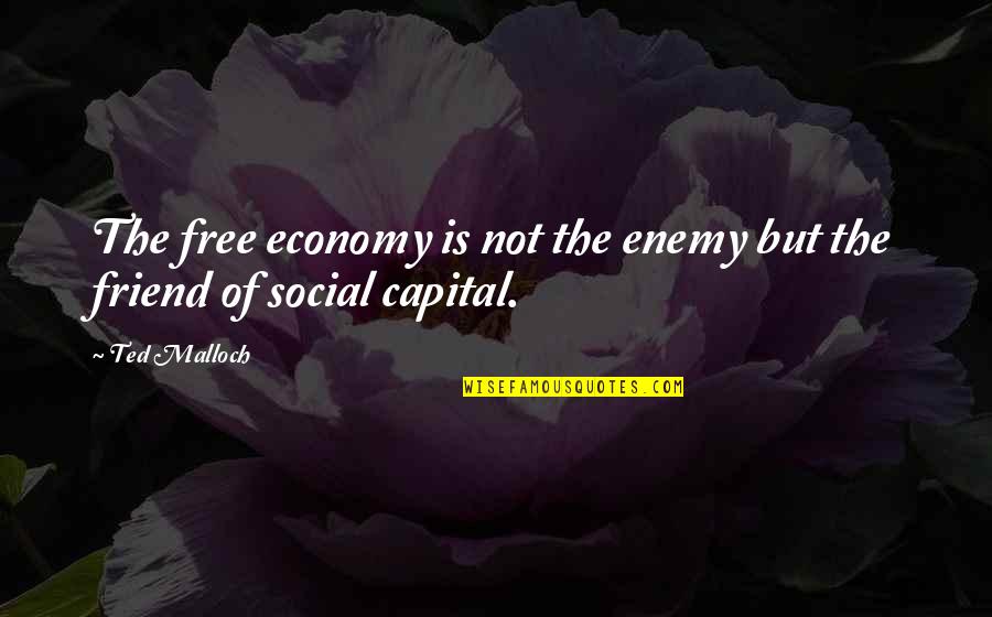 Nordics Exercise Quotes By Ted Malloch: The free economy is not the enemy but