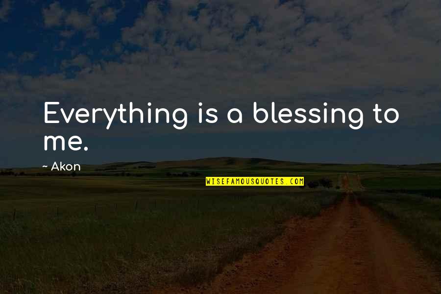 Nordictrack Elliptical E5 Quotes By Akon: Everything is a blessing to me.