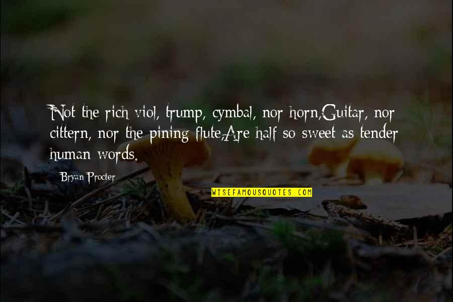 Nor'easter Quotes By Bryan Procter: Not the rich viol, trump, cymbal, nor horn,Guitar,