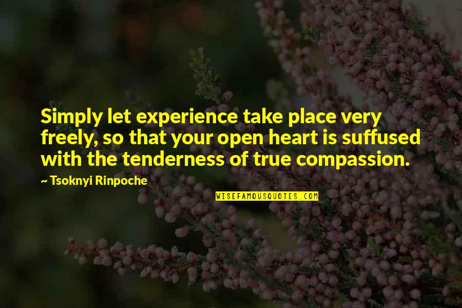 Norm Ln Tep Za Minutu Quotes By Tsoknyi Rinpoche: Simply let experience take place very freely, so Norm Ln Tep Za Minutu Quotes By Tsoknyi Rinpoche: Simply let experience take place very freely, so