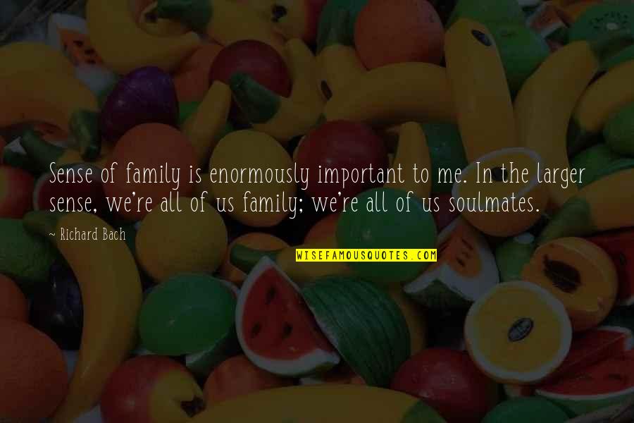 Normal Accident Theory Quotes By Richard Bach: Sense of family is enormously important to me.