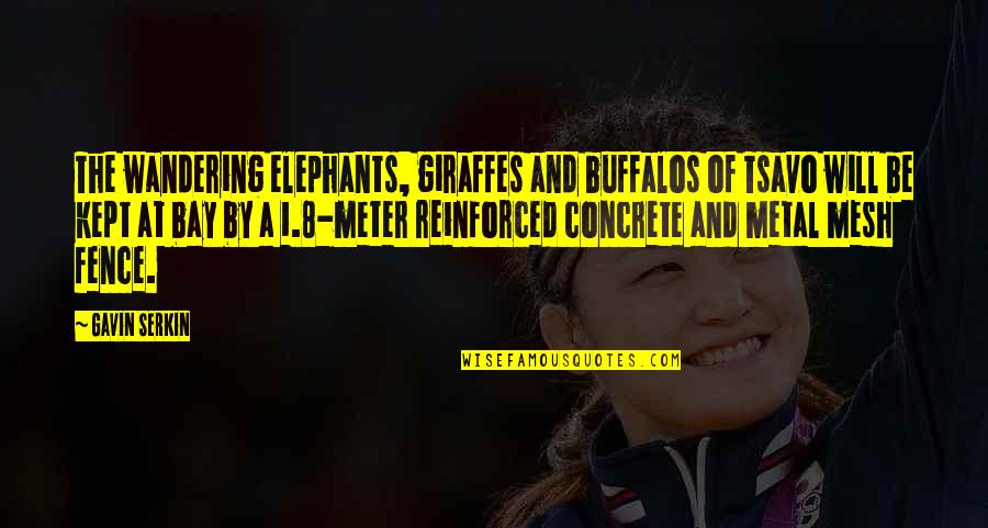 Normalno Ubrzanje Quotes By Gavin Serkin: The wandering elephants, giraffes and buffalos of Tsavo Normalno Ubrzanje Quotes By Gavin Serkin: The wandering elephants, giraffes and buffalos of Tsavo