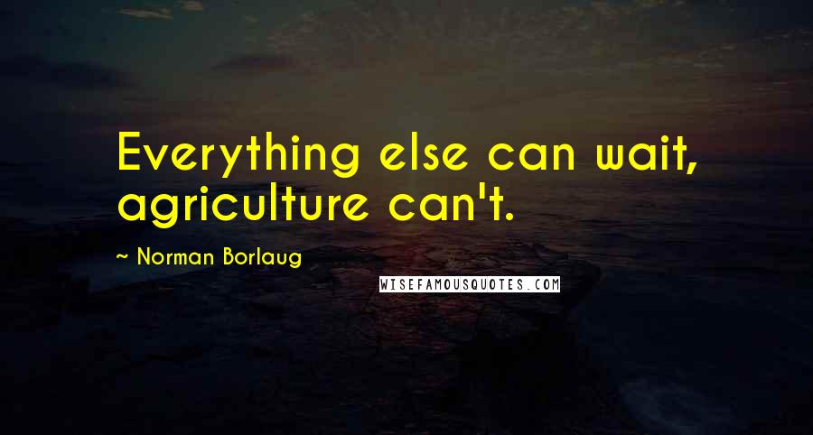 Norman Borlaug quotes: Everything else can wait, agriculture can't.