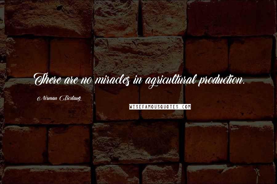 Norman Borlaug quotes: There are no miracles in agricultural production.
