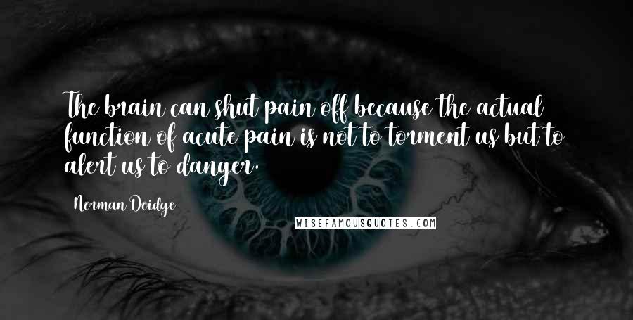 Norman Doidge quotes: The brain can shut pain off because the actual function of acute pain is not to torment us but to alert us to danger.