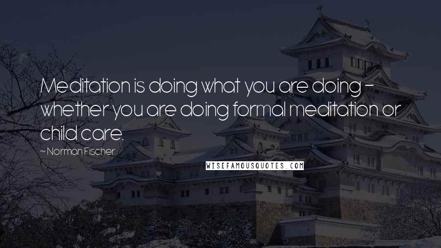 Norman Fischer quotes: Meditation is doing what you are doing - whether you are doing formal meditation or child care.