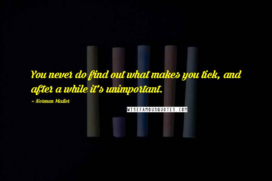 Norman Mailer quotes: You never do find out what makes you tick, and after a while it's unimportant.