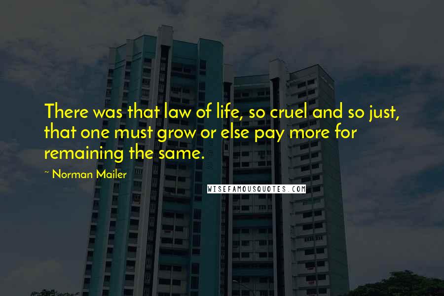 Norman Mailer quotes: There was that law of life, so cruel and so just, that one must grow or else pay more for remaining the same.