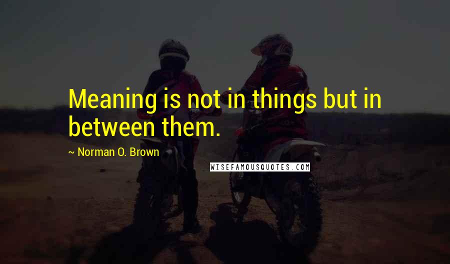 Norman O. Brown quotes: Meaning is not in things but in between them.