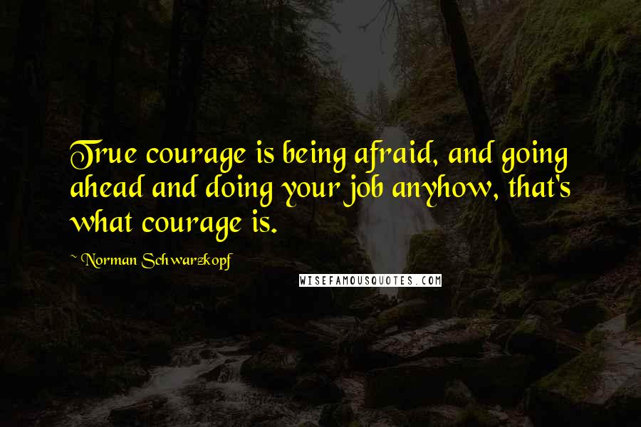 Norman Schwarzkopf quotes: True courage is being afraid, and going ahead and doing your job anyhow, that's what courage is.