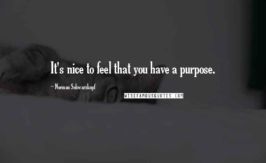 Norman Schwarzkopf quotes: It's nice to feel that you have a purpose.
