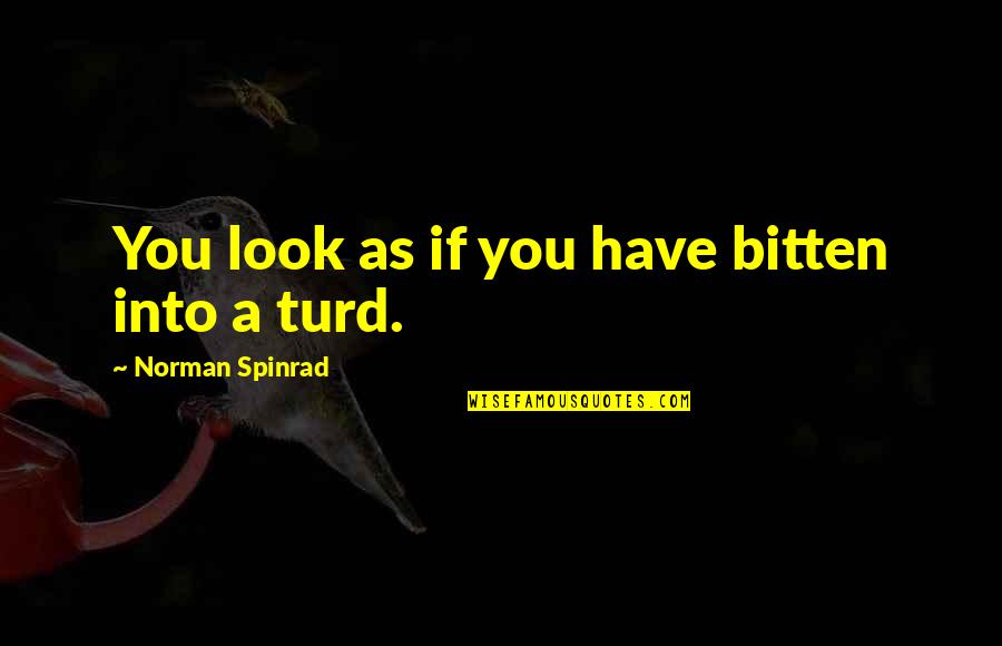 Norman Spinrad Quotes By Norman Spinrad: You look as if you have bitten into Norman Spinrad Quotes By Norman Spinrad: You look as if you have bitten into