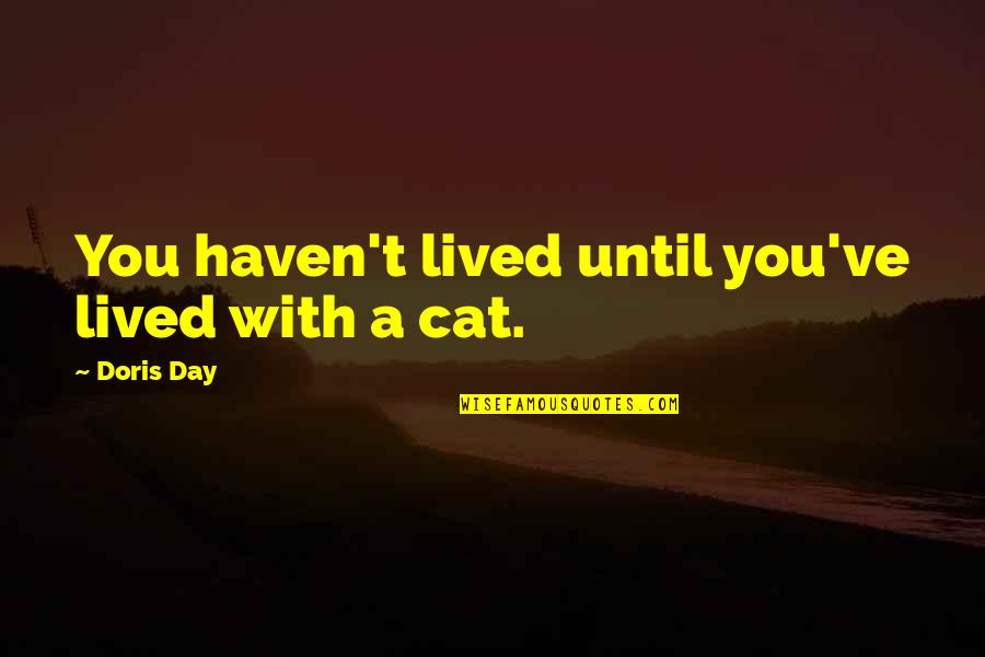 Normanton Train Quotes By Doris Day: You haven't lived until you've lived with a Normanton Train Quotes By Doris Day: You haven't lived until you've lived with a