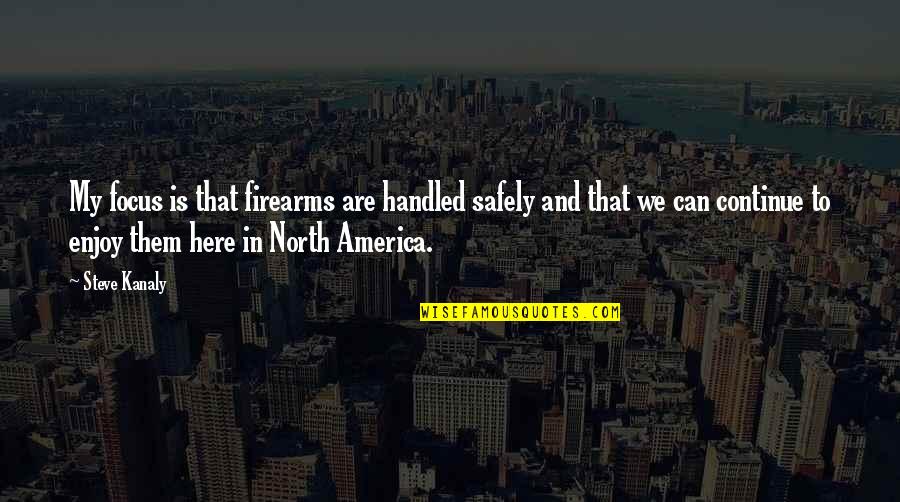 North America Quotes By Steve Kanaly: My focus is that firearms are handled safely