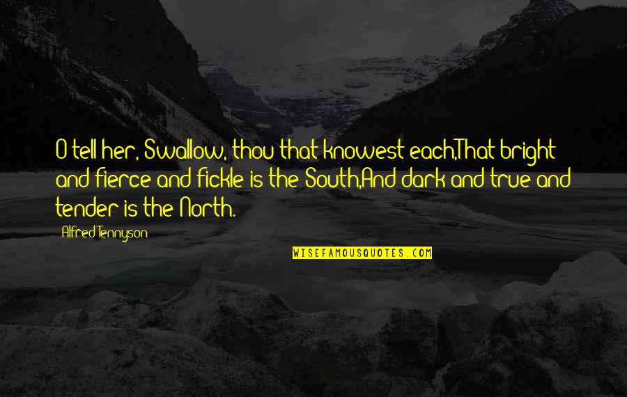 North And South Quotes By Alfred Tennyson: O tell her, Swallow, thou that knowest each,That