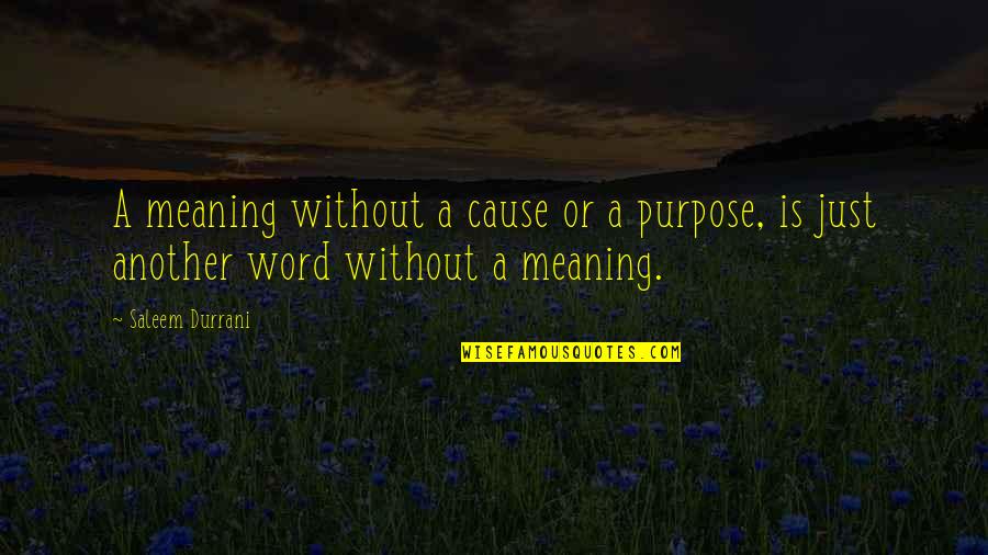 North And South Religion Quotes By Saleem Durrani: A meaning without a cause or a purpose,