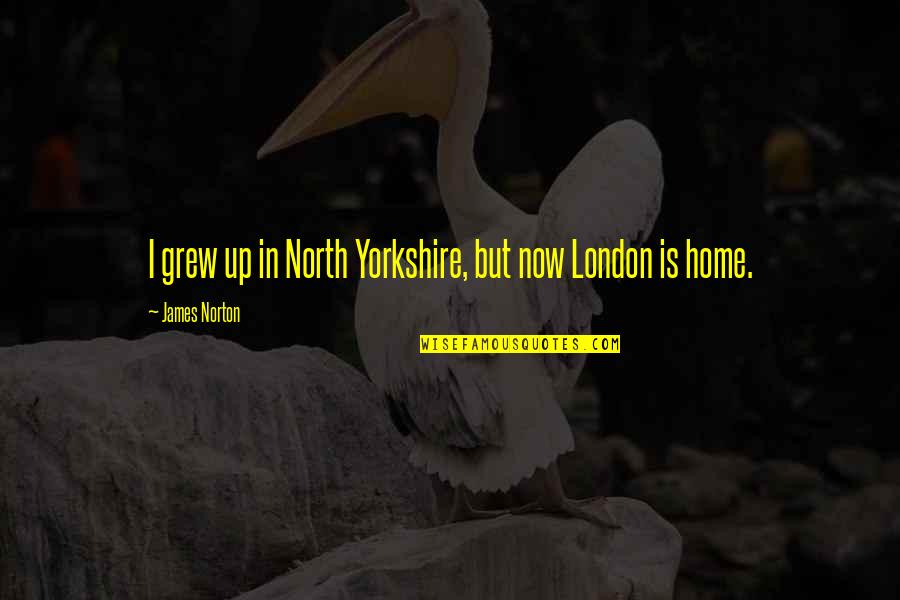 North London Quotes By James Norton: I grew up in North Yorkshire, but now