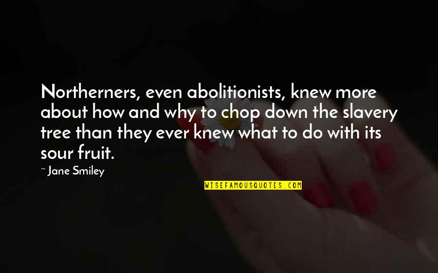 Northerners Quotes By Jane Smiley: Northerners, even abolitionists, knew more about how and