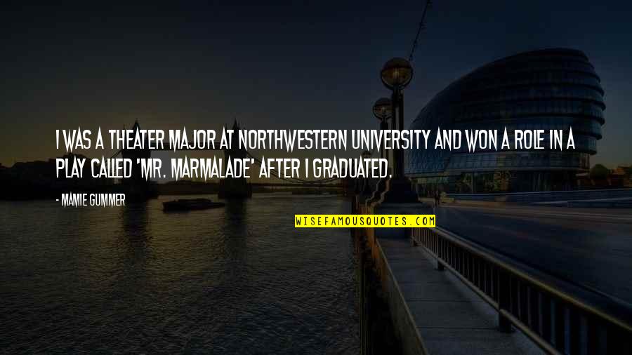Northwestern University Quotes By Mamie Gummer: I was a theater major at Northwestern University